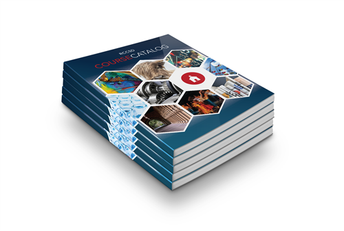 Catalog2 Catalog2